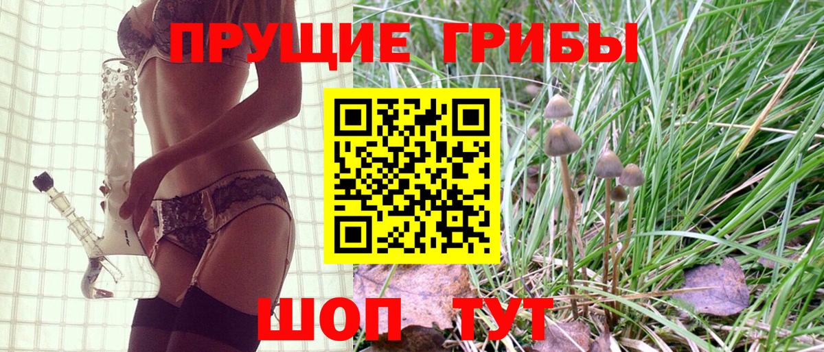 Псилоцибиновые грибы Psilocybe Минеральные Воды
